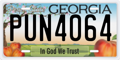 GA license plate PUN4064