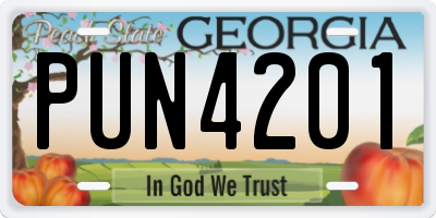 GA license plate PUN4201