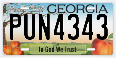 GA license plate PUN4343