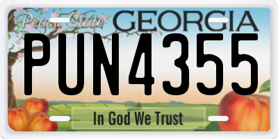 GA license plate PUN4355