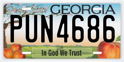 GA license plate PUN4686