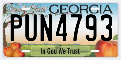 GA license plate PUN4793
