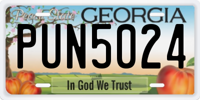 GA license plate PUN5024