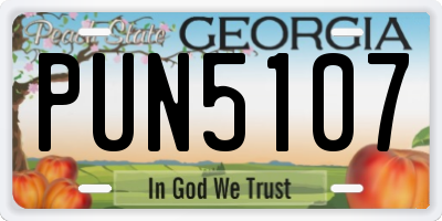 GA license plate PUN5107