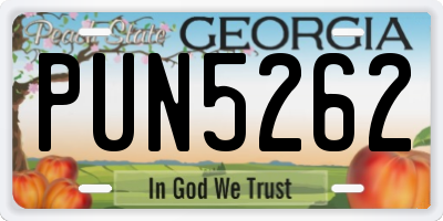 GA license plate PUN5262