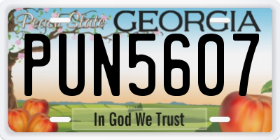 GA license plate PUN5607