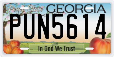 GA license plate PUN5614