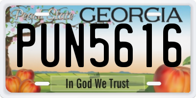 GA license plate PUN5616