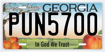 GA license plate PUN5700