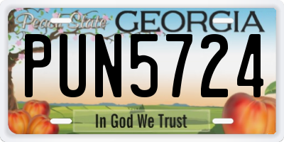 GA license plate PUN5724