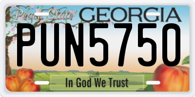 GA license plate PUN5750