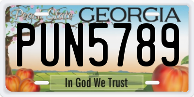 GA license plate PUN5789