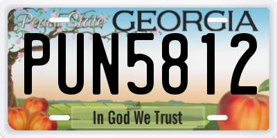 GA license plate PUN5812