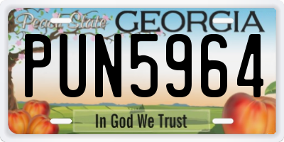 GA license plate PUN5964
