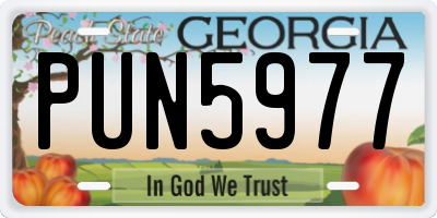 GA license plate PUN5977