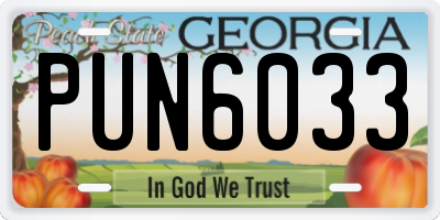GA license plate PUN6033