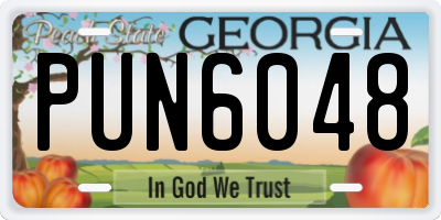 GA license plate PUN6048