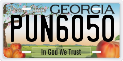 GA license plate PUN6050