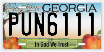 GA license plate PUN6111