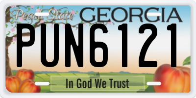 GA license plate PUN6121