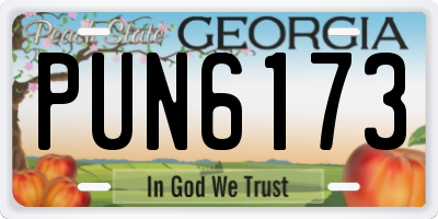 GA license plate PUN6173