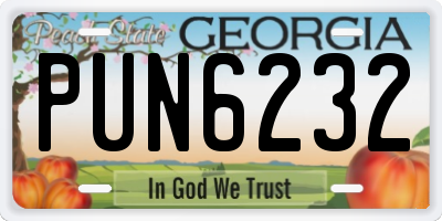 GA license plate PUN6232