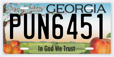 GA license plate PUN6451