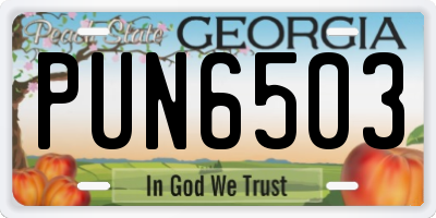 GA license plate PUN6503