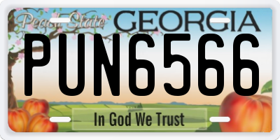 GA license plate PUN6566