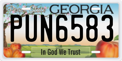 GA license plate PUN6583