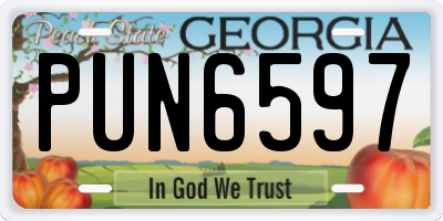 GA license plate PUN6597
