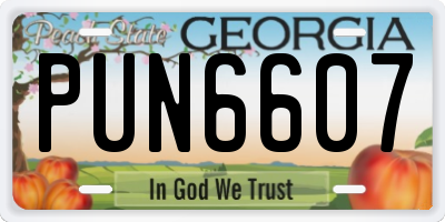 GA license plate PUN6607