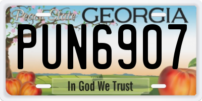 GA license plate PUN6907