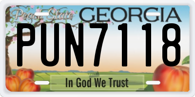 GA license plate PUN7118