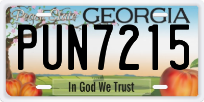 GA license plate PUN7215