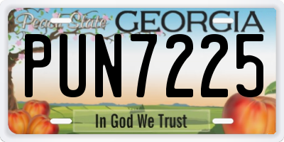 GA license plate PUN7225