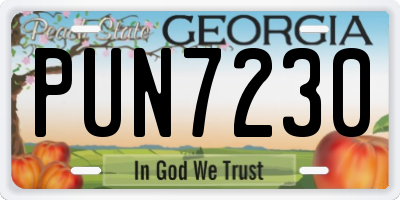 GA license plate PUN7230