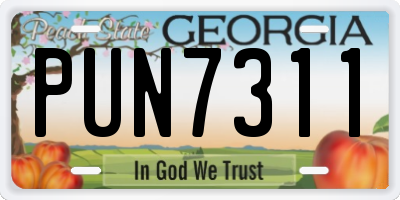 GA license plate PUN7311