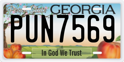 GA license plate PUN7569