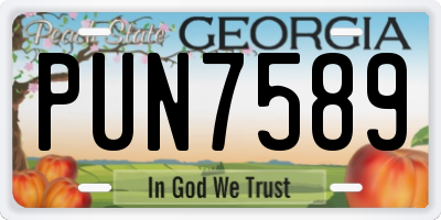 GA license plate PUN7589