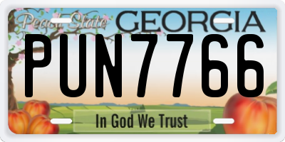 GA license plate PUN7766