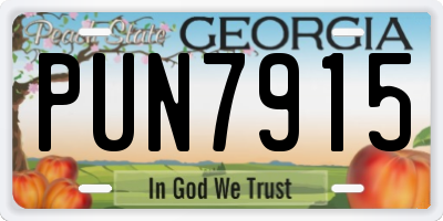 GA license plate PUN7915