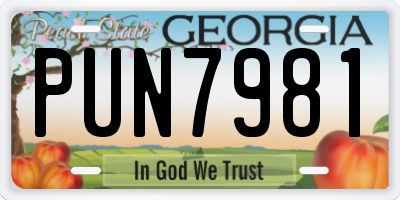 GA license plate PUN7981