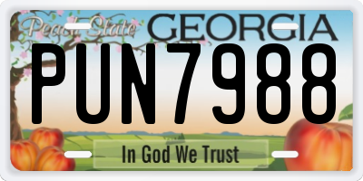 GA license plate PUN7988