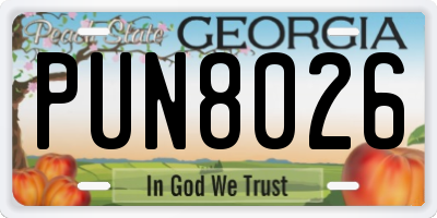GA license plate PUN8026