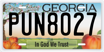 GA license plate PUN8027