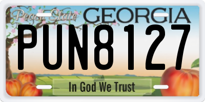 GA license plate PUN8127