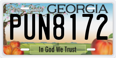 GA license plate PUN8172