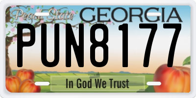 GA license plate PUN8177