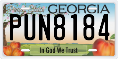 GA license plate PUN8184